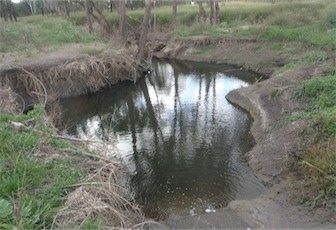 Bundamba Creek Urban Wetland – Creek Rehabilitation