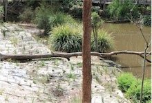 David Fleays Wildlife Park – Water Quality Restoration Project